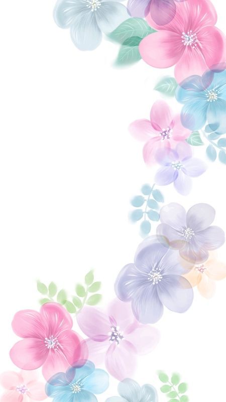 Flor Iphone Wallpaper, Flowery Wallpaper, Flower Iphone Wallpaper, Floral Border Design, 수채화 그림, Flower Background Wallpaper, Flower Phone Wallpaper, Pretty Wallpapers Backgrounds, Cellphone Wallpaper