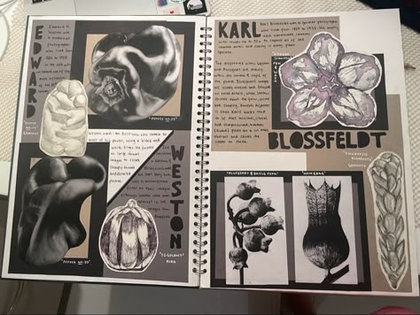 Concealment Art Gcse Title Page, Art Gcse Presentation Ideas, Gcse Ideas Page, Gcse Art Page Layout Ideas, Logbook Ideas Design, Art Analysis Sketchbook, Artist Analysis Page, Natural Forms A Level, Art Book Page Ideas