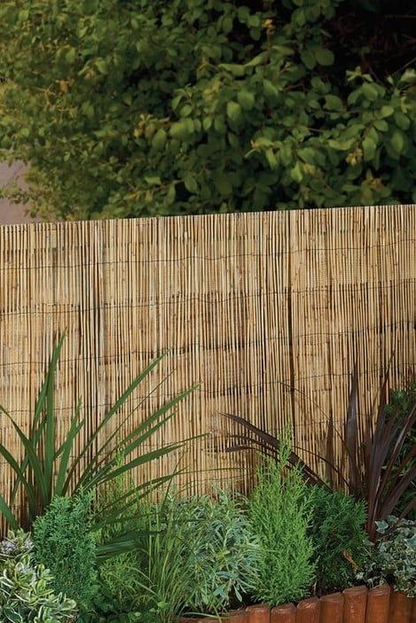 Ferns Along Fence, Garden With Bamboo Fence, Reed Fencing Ideas, Bamboo Garden Fence, Bamboo Screen Garden, Natural Fencing, Bamboo Fence Ideas, Bamboo Screening Fence, Reed Fence