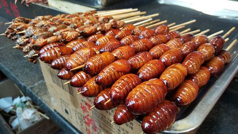 The Ultimate Edible Insect Travel Guide - China Esol Resources, Alien Reference, Edible Bugs, Cursed Food, Universal Food, Dragon Food, Weird Snacks, Bookmarks Ideas, Edible Insects