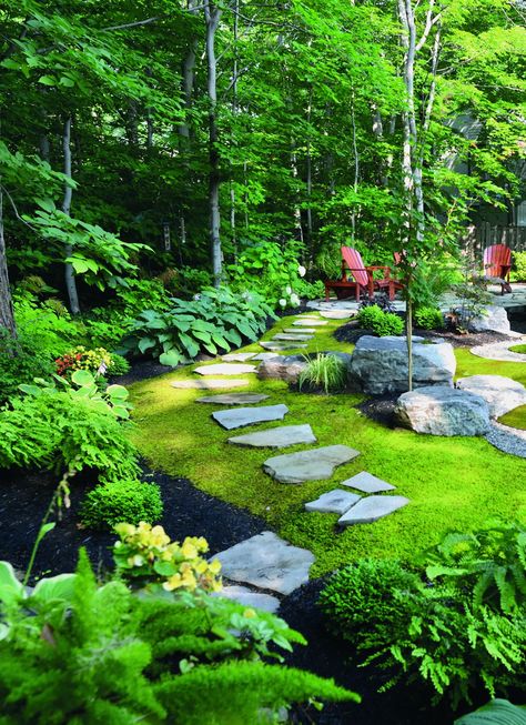 Start Your Own Moss Lawn - Laidback Gardener Planting Zones, Moss Lawn, Lawn Roller, Tiered Garden, Moss Garden, Ground Cover Plants, Lawn Decor, Backyards, Ground Cover