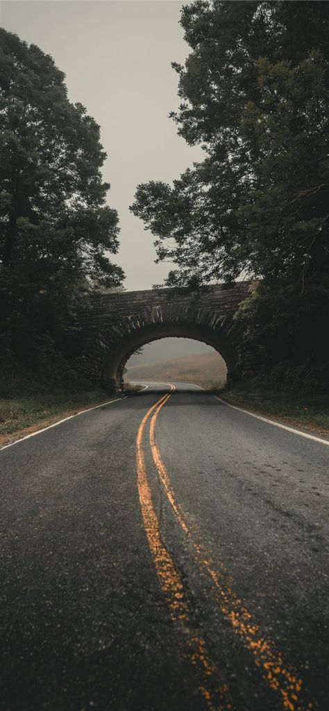 Searching for trolls in North Carolina #iLikeWallpaper #Wallpaper #iPhoneXWallpaper #road #highway #asphalt #tarmac #freeway #tunnel #overpass #nature North Carolina Wallpaper, Leading Line Photography, Line In Photography, Love Grandma Quotes, Highway Aesthetic, Leading Lines Photography, Backgrounds To Draw, Lines In Photography, Union Photography