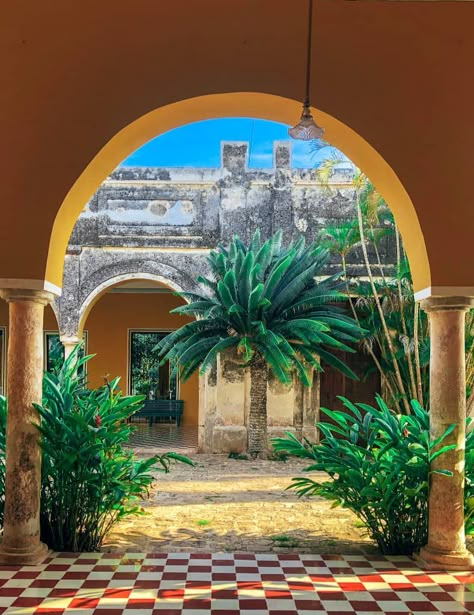 There's nothing better in the Yucatan Peninsula than visiting Merida in Mexico. If you''re looking for the best things to do in Merida, Mexico, Shelley Marmor has you covered. #mexicotravel #mexicotraveltips #mexicovacation #meridamexico #yucatan #yucatanpeninsula #merida #mexico #centralamerica #meridatravel #travelmexico #travel #prettycities #travelguide Merida Mexico Aesthetic, Merida Architecture, Mexico Merida, Merida Yucatan Mexico, General Aesthetic, Mexican Hacienda, Merida Mexico, Yucatan Mexico, Exchange Student