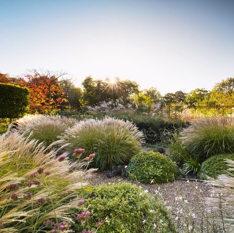 A Suffolk garden that balances formality and order with naturalistic beauty Tall Ornamental Grasses, Flowers For Garden, Naturalistic Garden, Beauty House, Gravel Path, Rectangular Pool, Reflecting Pool, House Gardens, Formal Garden