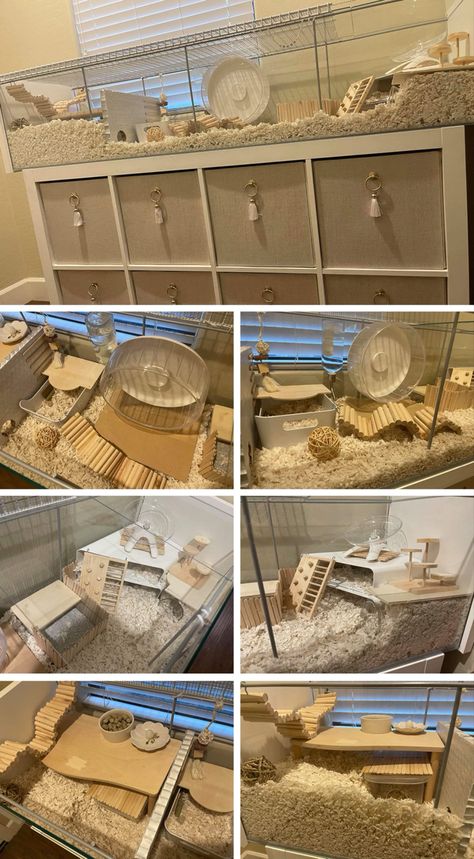 DIY large hamster cage set up, Ikea hack using the detlof Hamster Set Up, Ikea Hamster Cage, Ikea Detolf Hamster Cage, Diy Hamster Cage, Diy Hamster House, Hamster Diy Cage, Ikea Detolf, Large Hamster Cages, Hamster Diy