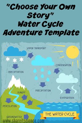 Water Cycle Activities Middle School, Water Cycle Middle School, Homeschool Water Cycle, Water Cycle Game, Water Cycle Comic Strip Project, The Water Cycle Anchor Chart, Water Cycle Model, Water Cycle Lessons, Water Cycle Lesson Plan 2nd Grade