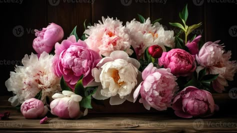 Peony care