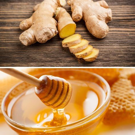 Outdoor Apothecary, Fermented Ginger, Ginger Honey, Natural Probiotics, Fermented Vegetables, Ginger And Honey, Natural Preservatives, Honey Recipes, Honey Garlic