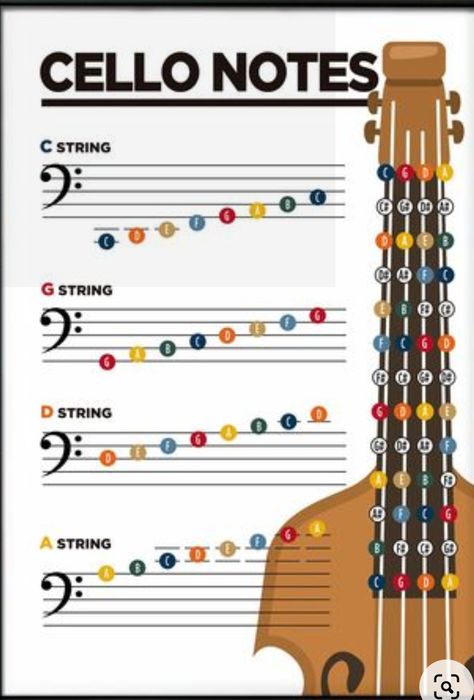 Cello Notes Chart, Violin Notes Chart, Cello Wallpapers, Cello Songs, Cello Notes, Cello Design, Violin Fingering Chart, Cello Lessons, Basic Music Theory