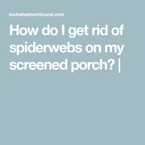 How do I get rid of spiderwebs on my screened porch? | Spider Killer, Spiders Repellent, Get Rid Of Spiders, Large Spiders, Daily Life Hacks, Screen Enclosures, Porch Flooring, Spider Webs, Deck Boards