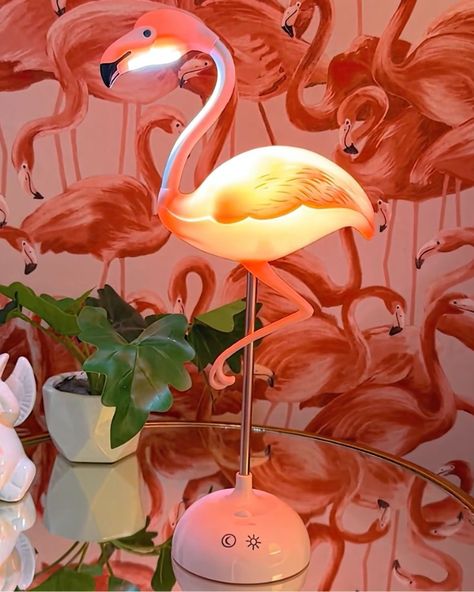 Enjoy a FREE set of Flamingo String Lights with every purchase of our Flamingo Touch Desk Lamp! 🦩✨ Claim Yours Now - Product tagged in photo and website link in bio! Touch Desk, Flamingo Diy, Flamingo Lamp, Calm Night, Flamingo Decor, Gift Catalog, Flamingo Bird, Reading A Book, Pink Flamingo