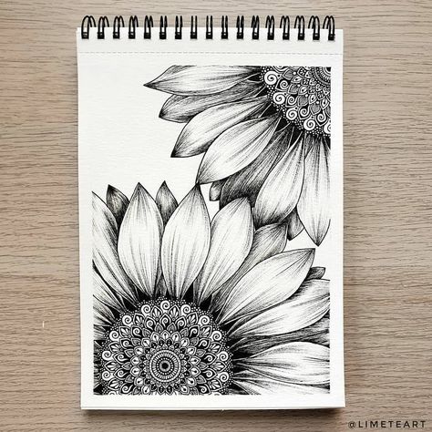 Flower Pot Mandala Art Drawing, Flower Mandala Sketch, New Mandala Art, Aesthetic Mandala Art, Black Pen Art, Flower Mandala Art, Flower Mandalas, Mandala Book, Sunflower Mandala