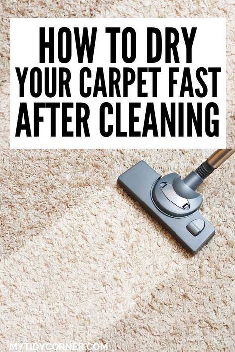 Looking for how to dry a carpet fast after cleaning? Here are simple hacks on how to dry your carpet quickly after cleaning. Shampoo Carpet Cleaner, Rug Cleaning Diy, Carpet Shampoo Solution, Cleaning Inspiration, Cream Carpet, Dry Carpet Cleaning, Carpet Cleaning Solution, Easy Cleaning Hacks, Carpet Cleaning Hacks