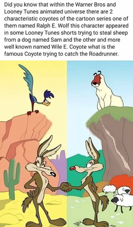 Looney Tunes Funny, Cartoon Logic, Wile E Coyote, Animals Memes, Atlantis The Lost Empire, Cartoon Fun, Netflix Shows, Cartoon Series, Cartoons Series