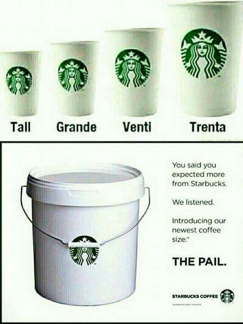 Hey Girl Meme, Starbucks Cup Sizes, Barista Humor, Starbucks Memes, Starbucks Funny, Hey Girl Memes, Coffee Meme Funny, Starbucks Birthday, Girl Meme