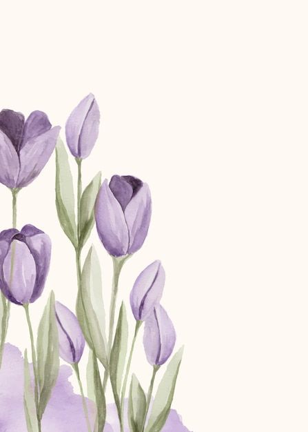 Premium Vector | Manual painted of purple tulip flower watercolor as background frame Watercolor Templates, Watercolor Flower Background, Tulip Painting, Watercolor Tulips, Background Frame, Planner Art, Watercolor Designs, Background Drawing, Purple Tulips