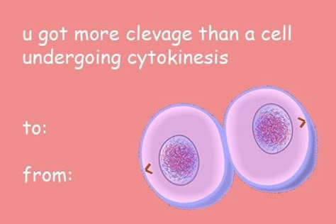 Valentines Day card Bio Valentines Cards, Valentines Day Gift Card Meme, Biology Valentines Cards, Cringey Valentines Cards, Biology Pickup Lines, Biology Rizz Lines, Science Valentines Cards, Cursed Valentines Cards, Biology Valentines