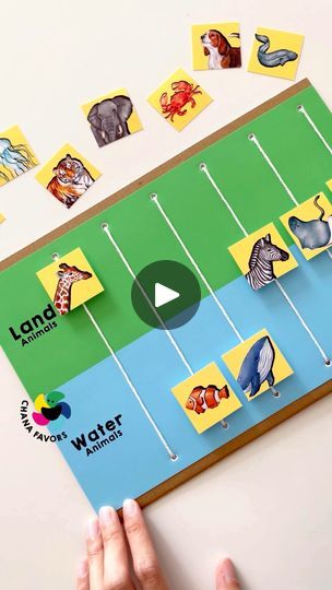 46K views · 628 reactions | Discover the fun of learning with our Land or Water Play printable! 🐾🌊 This engaging activity helps kids develop fine motor skills and expand their vocabulary by sorting animals into their correct habitats.

Easy to set up and perfect for home or classroom use. Download now from our store and make learning fun for your little ones!

#chanafavors #learningisfun #kidslearning #earlylearning #preschool #earlychildhoodeducation #playandlearn #kidsactivities #toddleractivities #finemotorskills #playideas #preschoolactivities | Chanafavors | Jayme Stone · Mighty Calypso Animals And Their Habitats Preschool, Sorting Animals Preschool, Land And Water Animals Activities, Pet And Wild Animals Sorting Activities, Animals Sorting Activities, Animal Habitat Preschool Activities, Wild Animal Activity Preschool, Animals Habitats Activities, Animal Habitats Activities For Kids