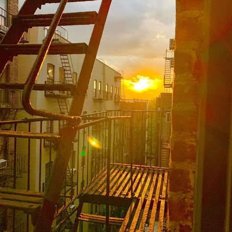 Sean Webb on Instagram: “C’mon sunset, c’mon fire escape #picturefornoreason 📸🌇 . #nyc #sunset #uptown #hamiltonheights #view #sunsout #finally #instagood #spring…” Fireescape Stairs Aesthetic, New York Fire Escape Aesthetic, Fire Escape Aesthetic, Rent Aesthetic, Nyc Sunset, The Glass Menagerie, Man On Fire, Vintage Apartment, Dream Bedroom Inspiration