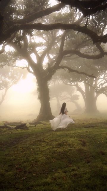 Connecting To Nature, Tree Grove, Fairytale Aesthetic, Ethereal Aesthetic, Dreamy Photography, Ancient Tree, Witch Aesthetic, Fantasy Aesthetic, Dreamy Art