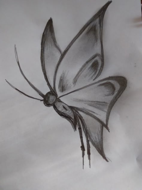 Simple Drawing Of Butterfly, Butterfly Drawing Detailed, Beautiful Pencil Drawing Images, Art Drawings Sketches Simple Nature, Buterfluffy Drawings, Nature Study Drawing Sketch, Art Sketches Butterfly, Easy Drawing Butterfly, Aesthetic Butterfly Sketch