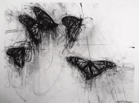 Charcoal Art, Black And White Aesthetic, Ethereal Art, Aesthetic Images, Butterfly Art, White Aesthetic, Grunge Aesthetic, Surreal Art, White Art