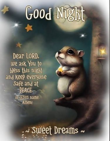 Goodnight Quotes For Friends, Good Night Blessings Quotes, Good Night Love Pictures, Good Night Cat, Good Night Prayer Quotes, Good Night Dear, Beautiful Good Night Quotes, Good Night Funny, Night Blessings