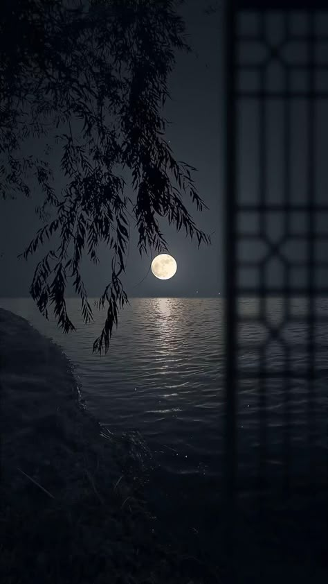 Moonlight Photography, Blue Moon Photography, Sky Photography Nature, Dark Nature Aesthetic, Night Scenery, Wallpaper Animes, Moon Photography, Amazing Nature Photos, Beautiful Images Nature