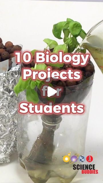 Science Buddies on Instagram: "Interested in biology? Here are some science projects students can do for school or the #sciencefair:  1. Strawberry DNA: https://sbgo.org/biology-strawberry-dna 2. Painting with genetically modified bacteria: https://sbgo.org/biology-paintbacteria (activity); related project: https://sbgo.org/biology-bacteria-transformation-ig 3. Measure photosynthesis with floating leaves: https://sbgo.org/biology-floatingleaves-ig  4. Grow plants in microgravity with an Arduino clinostat: https://sbgo.org/biology-clinostat-ig 5. Turn mud into energy with a microbial fuel cell: https://sbgo.org/biology-fuelcell-ig 6. Hydroponics - gardening without soil:  https://sbgo.org/biology-hydroponics-ig 7. Make bricks with mushroom roots: https://sbgo.org/biology-mushroombricks-ig 8 Bacteria Science Experiment, Science Activity For High School, Best Science Projects High School, Biology Stem Activities, Biology Research Topics, Science Plant Activities, Biology Investigatory Project Class 12, Biology Experiments For Kids, Biology Experiments High School