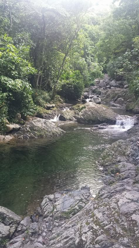 Puerto Rico History, Paradise Island, Natural Scenery, Puerto Rican, Beautiful Islands, Places Around The World, Puerto Rico, Places To See, Places To Go