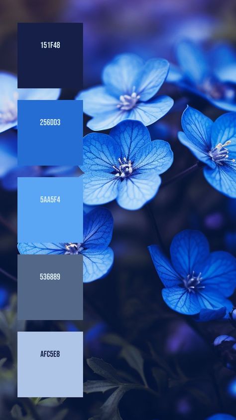 Colors: 151F48 ° 256DD3 ° 5AA5F4 ° 536889 ° AFC5E8 All Blue Color Palette, Azure Blue Color Palette, Dark Blue Complementary Colors, Carolina Blue Color Palette, Blueberry Color Aesthetic, Rich Blue Color Palette, Light Blue And Black Color Palette, Blue Gradient Palette, Sapphire Blue Color Palette