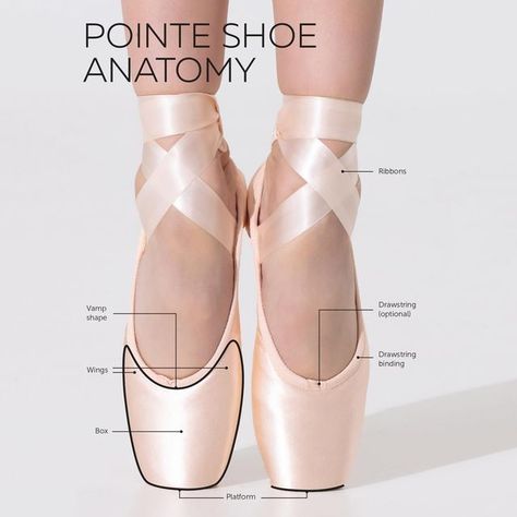 Nikolay LLC on Instagram: "It’s important to know the components of these wonderful shoes so that you are able to ask questions with confidence. Getting a professional fitting with someone who understands the anatomy of the foot, and the anatomy of the pointe shoe is crucial to the health and well being of any ballerina who dances on pointe. Find your perfect fit of NIKOLAY pointe shoes in the finest dance retailers in the USA. #nikolayworld #nikolay #nikolaypointeshoes #enpointe #pointeshoe Pre Point Shoes, Nikolay Pointe Shoes, Pointe Shoe Anatomy, Suffolk Pointe Shoes, Ballet Point Shoes, Colored Pointe Shoes, Dance Acro, Ballet Pointe Shoes, Adult Ballet