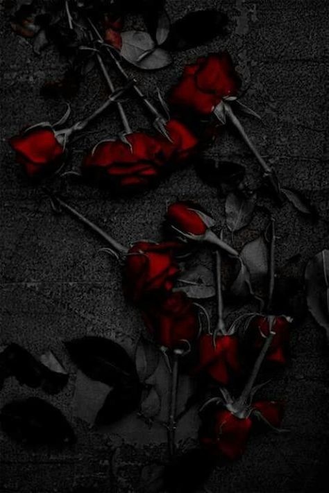 . Wallpaper Mawar, Gothic Rose, Wallpaper Flowers, Rosé Aesthetic, Dark Flowers, Black And White Background, Bedroom Posters, Black Aesthetic Wallpaper, Rose Wallpaper