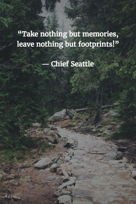 Take nothing but memories, leave nothing but footprints." -Chief Seattle Seattle Quotes, Leave Nothing But Footprints, Dollars Money Wallpaper, Sustainability Quotes, Growing Up Quotes, Chief Seattle, Nature Quotes Adventure, Grateful Quotes, Native American Wisdom