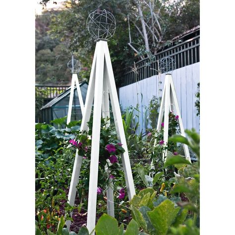 Ebern Designs Ambur Steel Obelisk Trellis & Reviews | Wayfair.ca Gravel Side Yard, Trellis Arbor, Seed Starting Soil, Obelisk Trellis, Backyard Animals, Vege Garden, Gardening Journal, New Garden Ideas, Modern Trellis