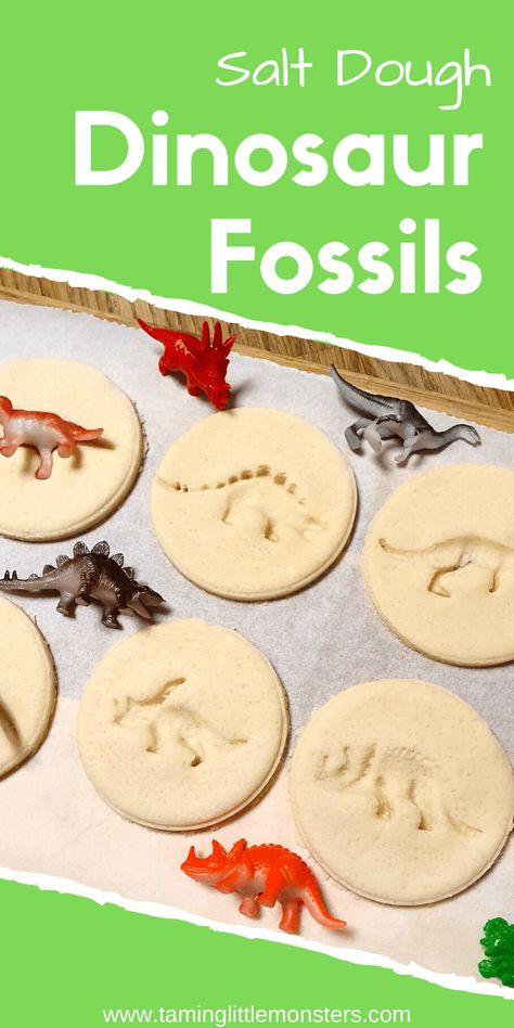 Dino Fossils Preschool, Salt Dough Dinosaur Fossils, Dinosaur Stem Activity, Diy Dinosaur Fossils, Fossil Stem Activities, Preschool Diy Activities, Dinosaur Stem Activities Preschool, Dinosaur Stem Activities, Stem For Toddlers