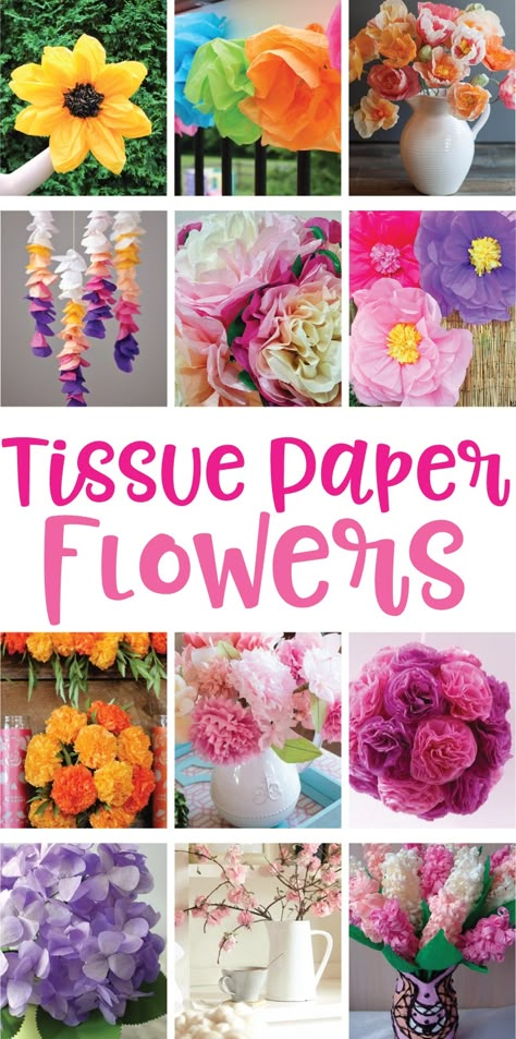 12 tissue paper flowers Tissue Paper Decorations, Paper Flowers Diy Easy, Tissue Paper Flowers Diy, Tissue Paper Crafts, Tissue Flowers, Easy Paper Flowers, Paper Flower Decor, Paper Flower Crafts, Crepe Paper Flowers