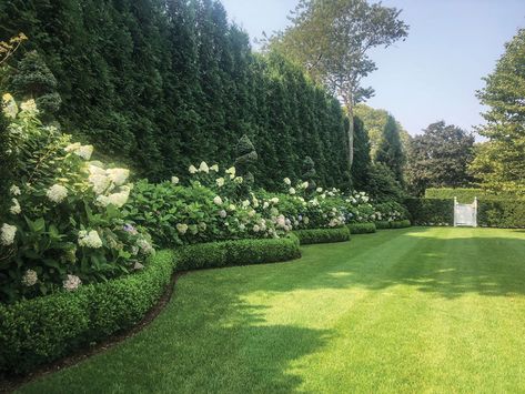 Garden Hedge Design, Landscape For Backyard, Live Oak Landscaping, Romantic Landscaping, Tall Hedges Landscaping, Hedge Around Patio, Row Of Hydrangeas, Curved Boxwood Hedge, Symmetrical Landscaping