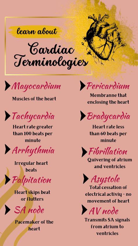 Medical Cardiac Terminologies | Medical Terms For Heart Cardiac Sonography, Medical Terminology Study, Sonography Student, Medical Assistant Student, Medical Words, Nursing School Essential, Nursing School Motivation, Medical School Life, Basic Anatomy And Physiology