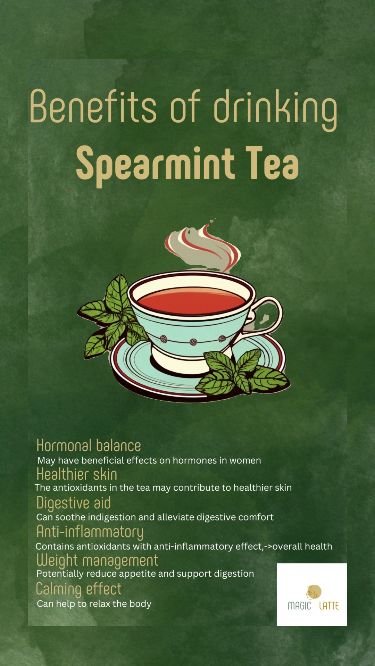 Spearmint Tea Benefits, Hormone Balancing Tea, Drink Before Bed, Herbal Tea Benefits, Spearmint Tea, Holistic Skin Care, Balance Your Hormones, Hormonal Balance, Healthy Teas