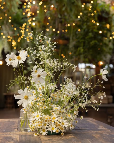 Daisy Flower Arrangements Wedding, Cosmos Flowers Wedding Decor, Chamomile Floral Arrangement, Chamomile Flower Centerpiece, Chamomile Wedding Flowers, Flower Arrangements With Chamomile, Chamomile Table Decoration, Chamomile Flowers Wedding, Daisy Wedding Table Decor