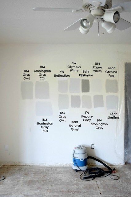 Light Grey Paint, Perfect Grey Paint, Best Gray Paint Color, Light Grey Paint Colors, Stonington Gray, Interior Paint Colors Schemes, Light Gray Paint, Light Grey Walls, Neutral Paint Colors