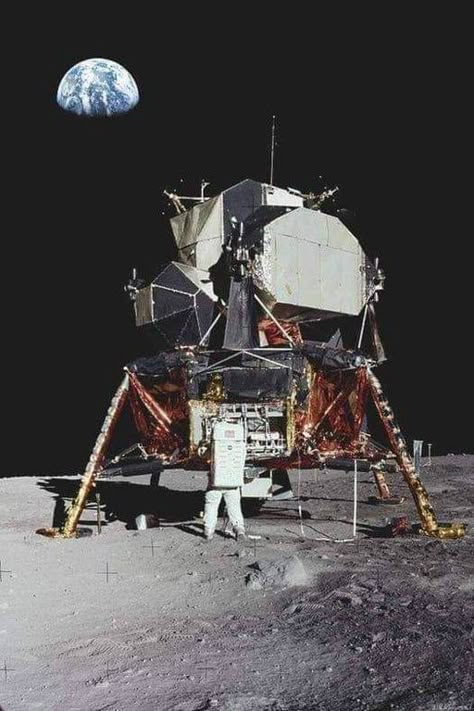 Nasa Space Pictures, Apollo Space Program, Apollo 11 Moon Landing, Nasa Space Program, Lunar Module, Apollo Program, Nasa Space Shuttle, Nasa Apollo, Apollo Missions