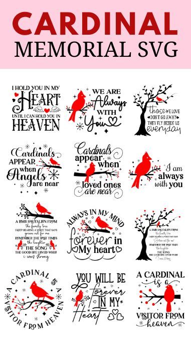 Cardinal In Tree Svg Free, Cardinal Quotes Sayings, Cardinals Appear When Angels Are Near Svg Free, Cardinal Memorial Ornament, Cardinal Memorial Signs, Quotes For Pillows, Cricut Rememberance Projects, Christmas Cardinal Quotes, Cardinal Memorial Gift