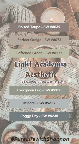 Color scheme for lighter colors for that #LightAcademia feeling. Books, candles, coffee, and just the perfect cozy vibe using BRIGHTER colors ... a peaceful paradise for an INSANE world! Cozy House Colors Interior, Light Academia Colors Palette, Light Acedamia House, Light Academia Aesthetic Interior Design, Dark Academia Room Colors, Light Academia Aesthetic House, Home Decor Ideas Dark Academia, Light Academia Colour Palette, Light Academia Aesthetic Color Palette