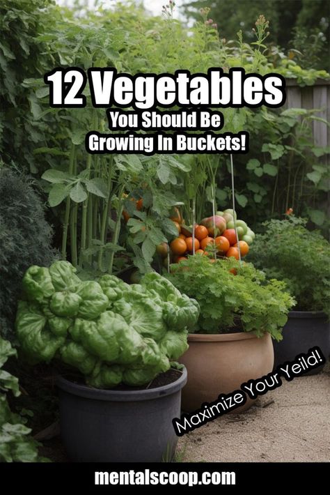 Vegetables In Pots, Growing Vegetables In Pots, Bucket Gardening, Container Vegetables, Vegetable Garden Diy, Sensory Garden, Gardening Projects, Growing Veggies, Gardening Vegetables