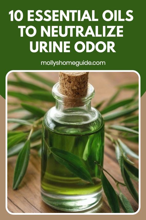 Discover the power of essential oils for urine smell with this DIY pet odor remover! Say goodbye to pet odor and remove cat pee smell permanently. Learn how to clean carpet with essential oils for an all-natural pet urine odor removal. Find out how to eliminate urine smell in the bathroom and get rid of cat urine smell naturally. Try this natural carpet cleaner spray to bid farewell to dog pee from carpet and cat smells for good! How To Remove Cat Pee Smell, Pee Smell Out Of Bathroom, Removing Dog Urine From Carpet, Essential Oils For Pet Odor, Best Way To Get Rid Of Cat Urine Smell, Remove Pet Urine From Carpet, How To Get Dog Pee Out Of Carpet, Cat Pee Smell Removal Carpets, Removing Cat Urine Smell