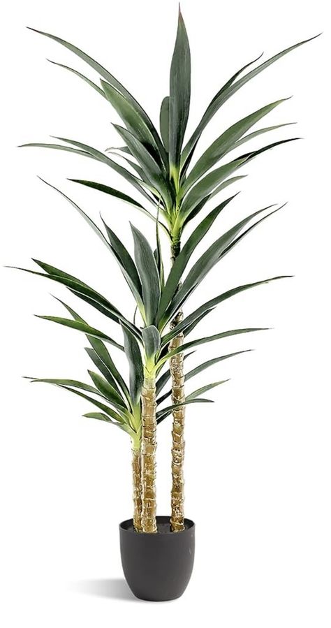 Plants Indoor Decor, Laie Hawaii, Yucca Tree, Room Concept, Fake Plants Decor, Fake Trees, Agave Plant, Tropical Home, Outdoor Office