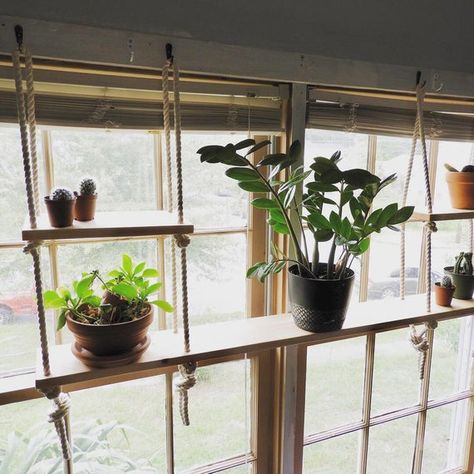 Indoor Herb Garden Window, Herb Garden Window, Plant Shelf Indoor, Hanging Plant Shelf, Window Herb Garden, Window Plant Shelf, Succulent Display, Diy Hanging Shelves, Window Plants