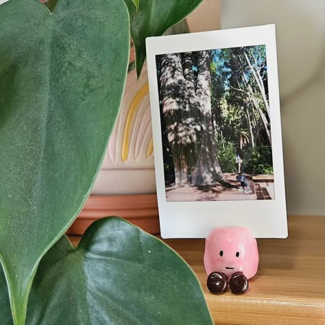 Pink polymer clay marshmallow polaroid photo holder 🥰 DM to order if you live in Australia. #polymerclay #polaroid #polaroidphotoholder #clayart #cute #marshmallows #craft Poloroid Pictures Holder Clay, Jellycat Photo Holder, Polaroid Photo Holder, Polaroid Holders Clay, Polymer Clay Picture Holder, Clay Photo Holder Diy, Polymer Clay Polaroid Holder, Picture Holder Clay, Ceramic Polaroid Holder